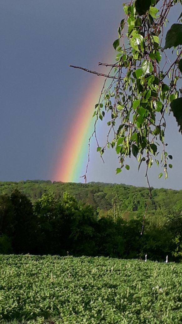 Regenbogen am Garten 01 05 20