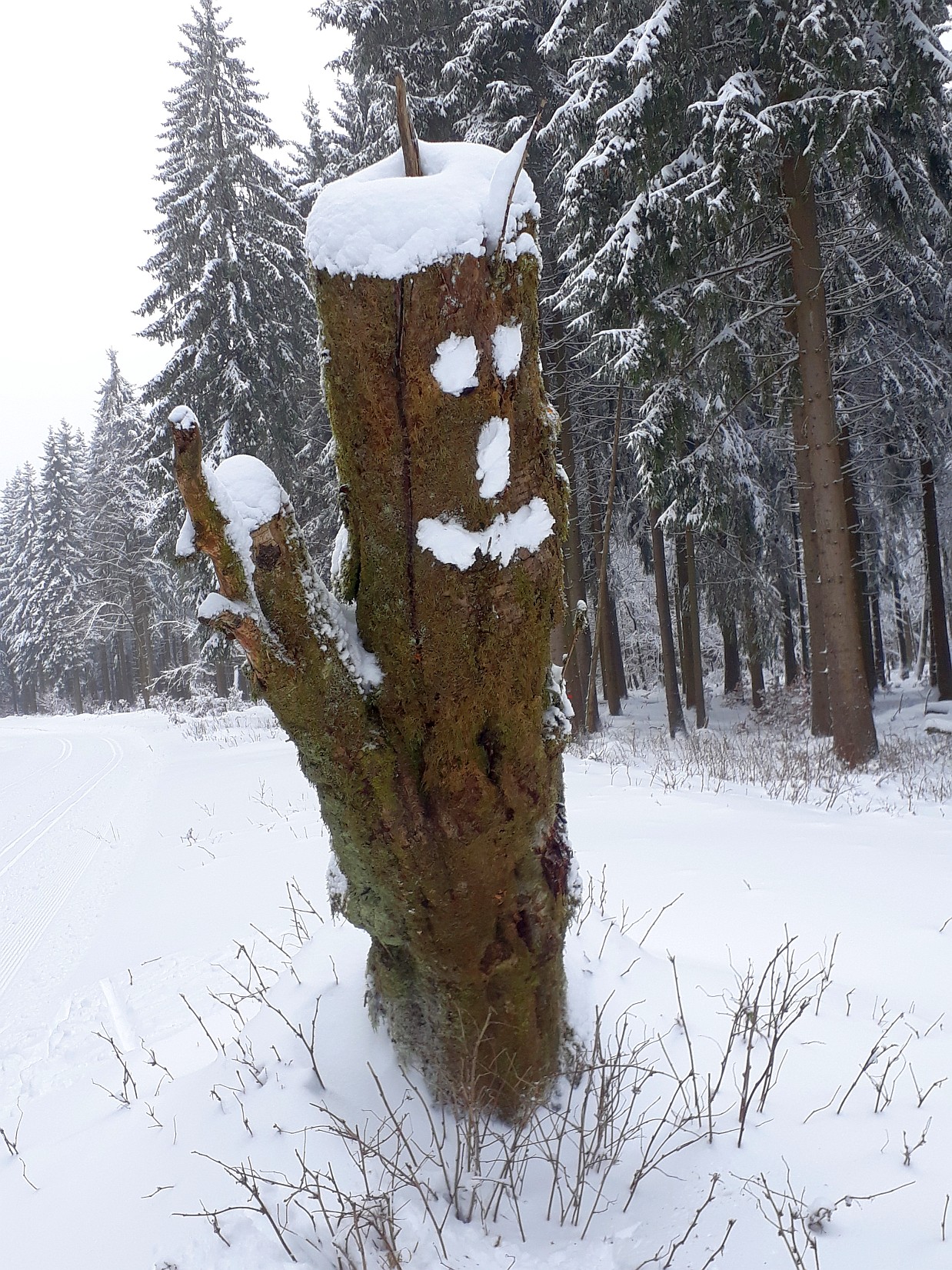 Schneegeist