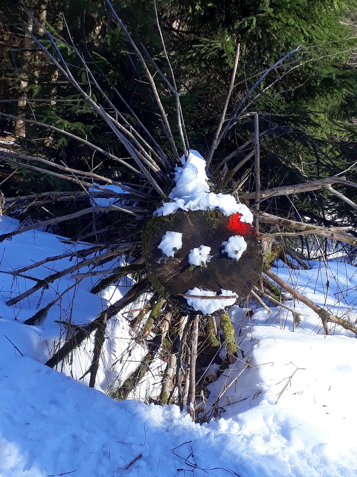 Schneekobold Februar 2019 Vogelsberg