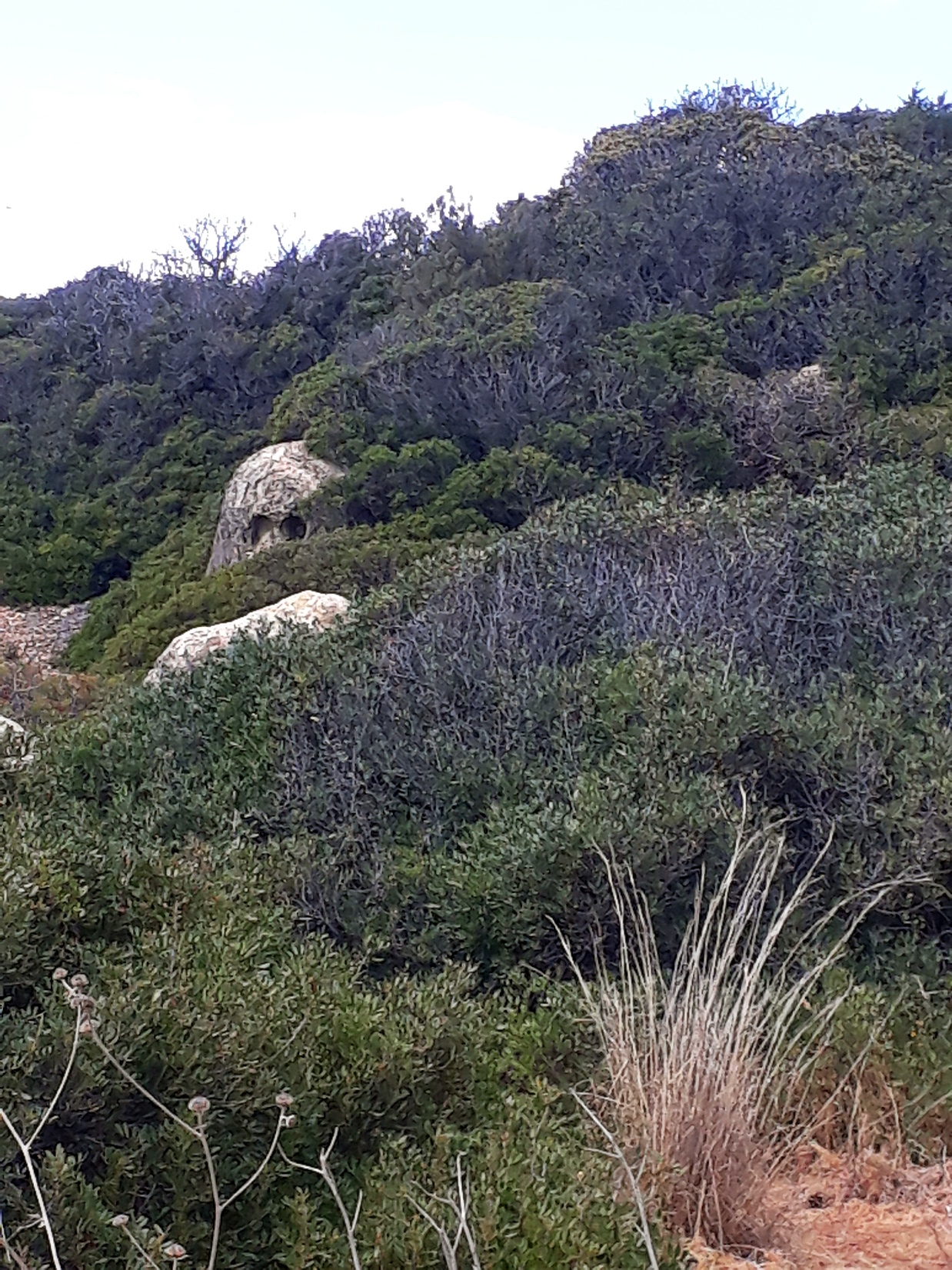 Totenschdel Strandkobold am Algarve 3 2019