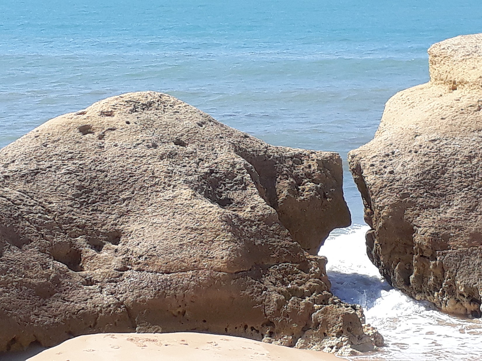 Zrtliche Meerschweine, Algarve Januar 2017